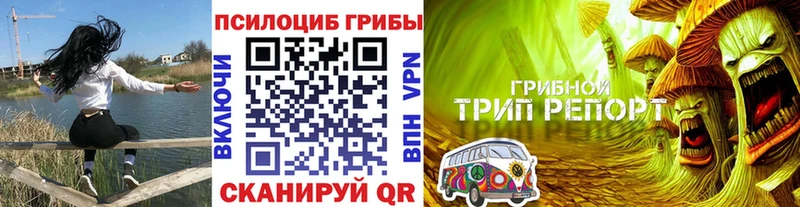 где продают наркотики  Миасс  Псилоцибиновые грибы ЛСД 